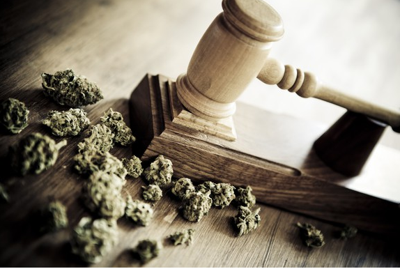 The Marijuana Industry Pulls Victory From the Jaws of a DEA Defeat