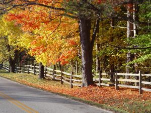 fall color drive