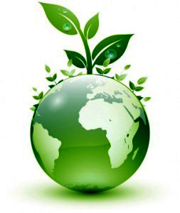 Tips to Go Green at Home
