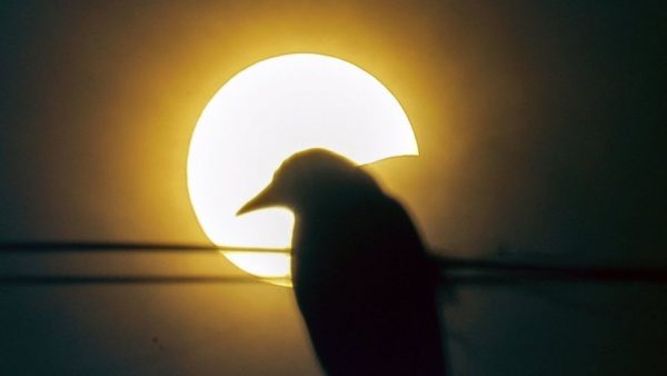 solar eclipse india