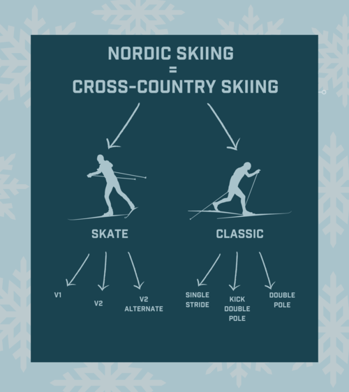 nordic skiing inforgaphic