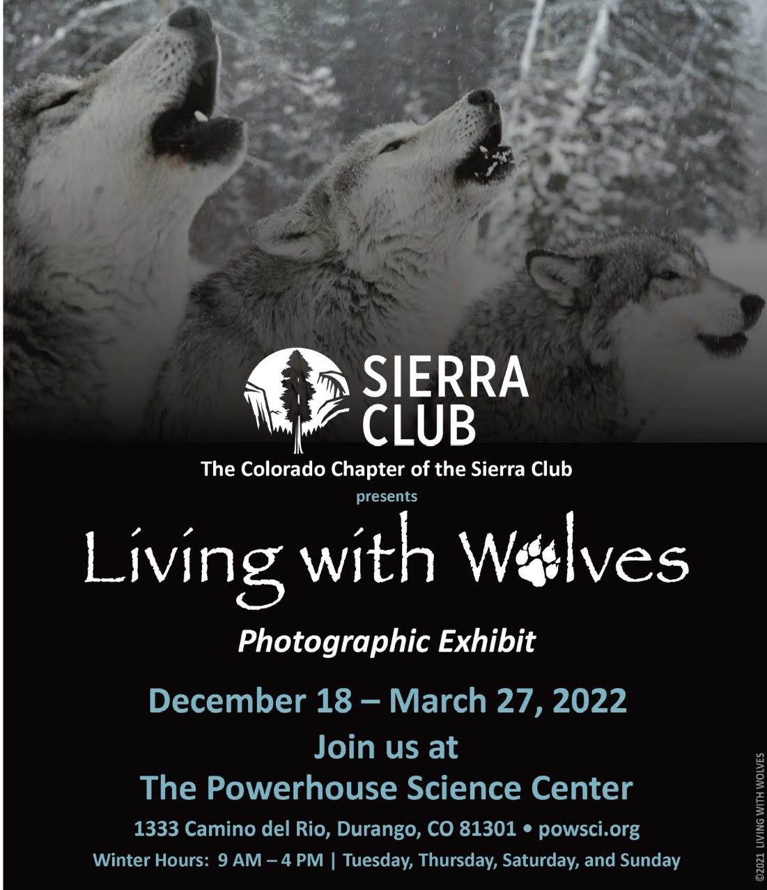 Living with Wolves – Photographic Exhibit