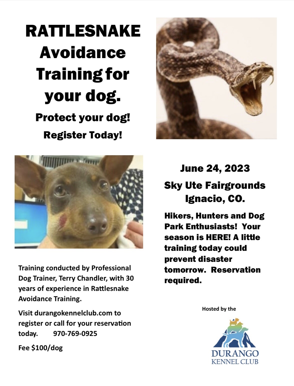 Rattlesnake Avoidance Training For Your Dog