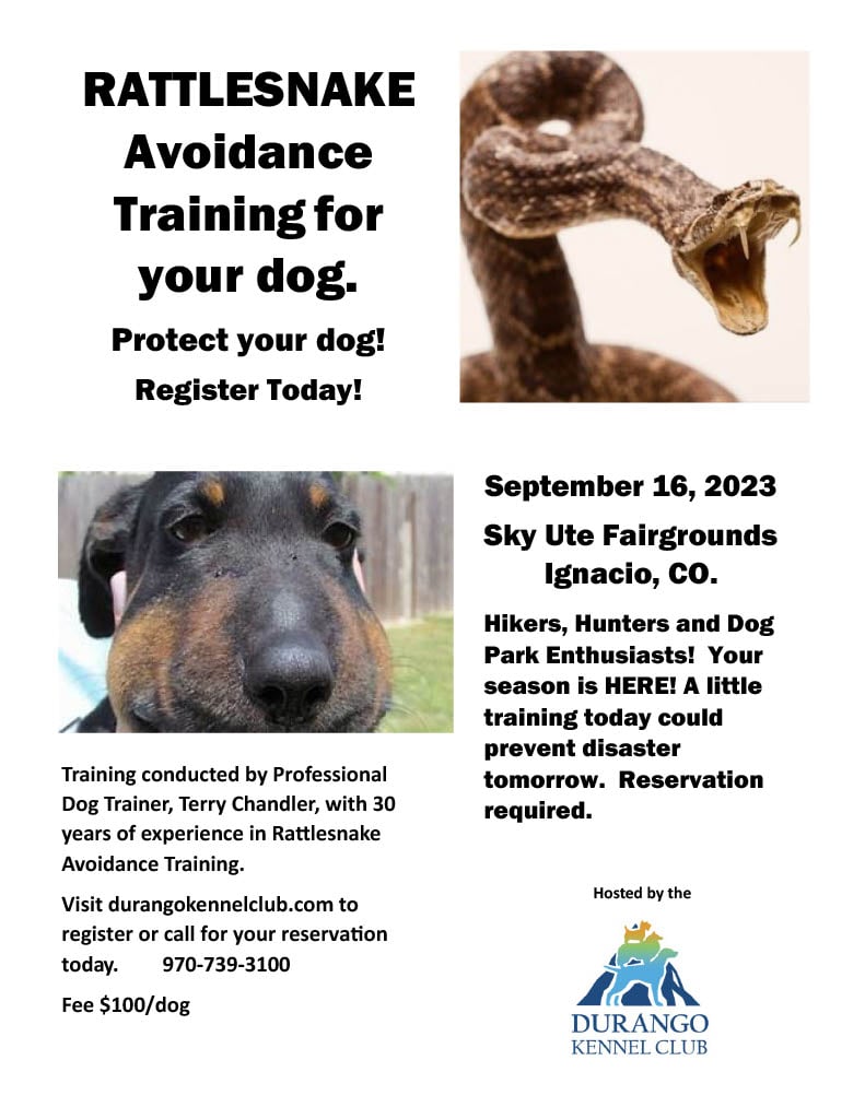 Rattlesnake Avoidance Training For Your Dog September 16th, 2023